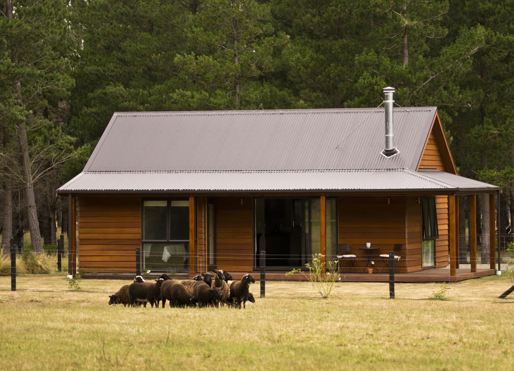 Woodbank Park Cottages Hanmer Springs Rum bild